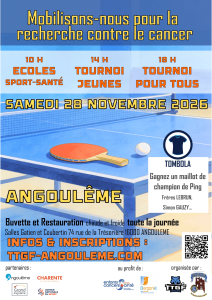 Journée Ping Caritative samedi 28 Novembre 2026